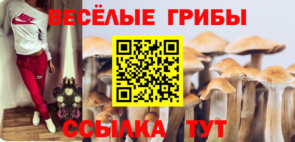 Галлюциногенные грибы мухоморы Мытищи